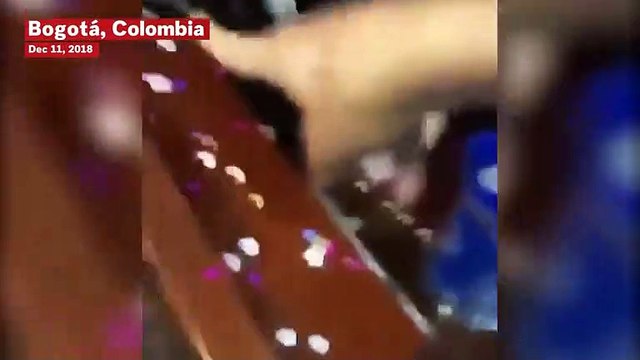 Colombian Senator Claims Live Mice Thrown At Fellow Congresspeople: 'We Demand Respect'