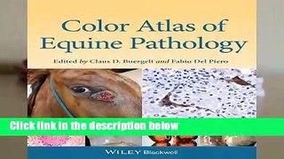 F.R.E.E [D.O.W.N.L.O.A.D] Color Atlas of Equine Pathology by