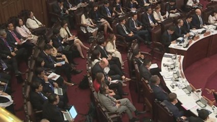 Chile resalta el multilateralismo frente al proteccionismo en presentación de APEC 2019