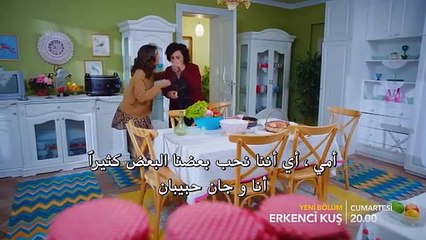 موقع قصة عشق on Instagram- “طائر الصباح - الإعلان 2 الحلقة 24”