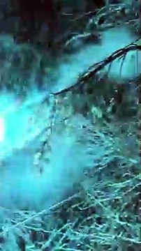 Une tempête de neige fait exploser des lignes électriques et c'est fabuleux pour les yeux