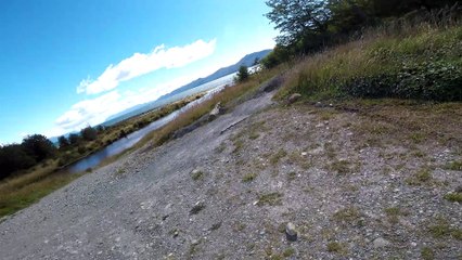 Fox Steals a GoPro