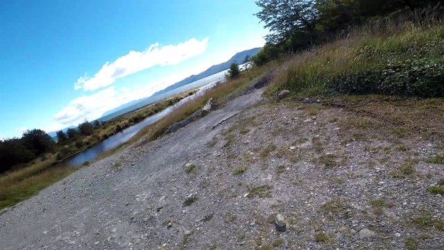 Fox Steals a GoPro