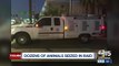 Dozens of animals seized in raid from Phoenix shelter