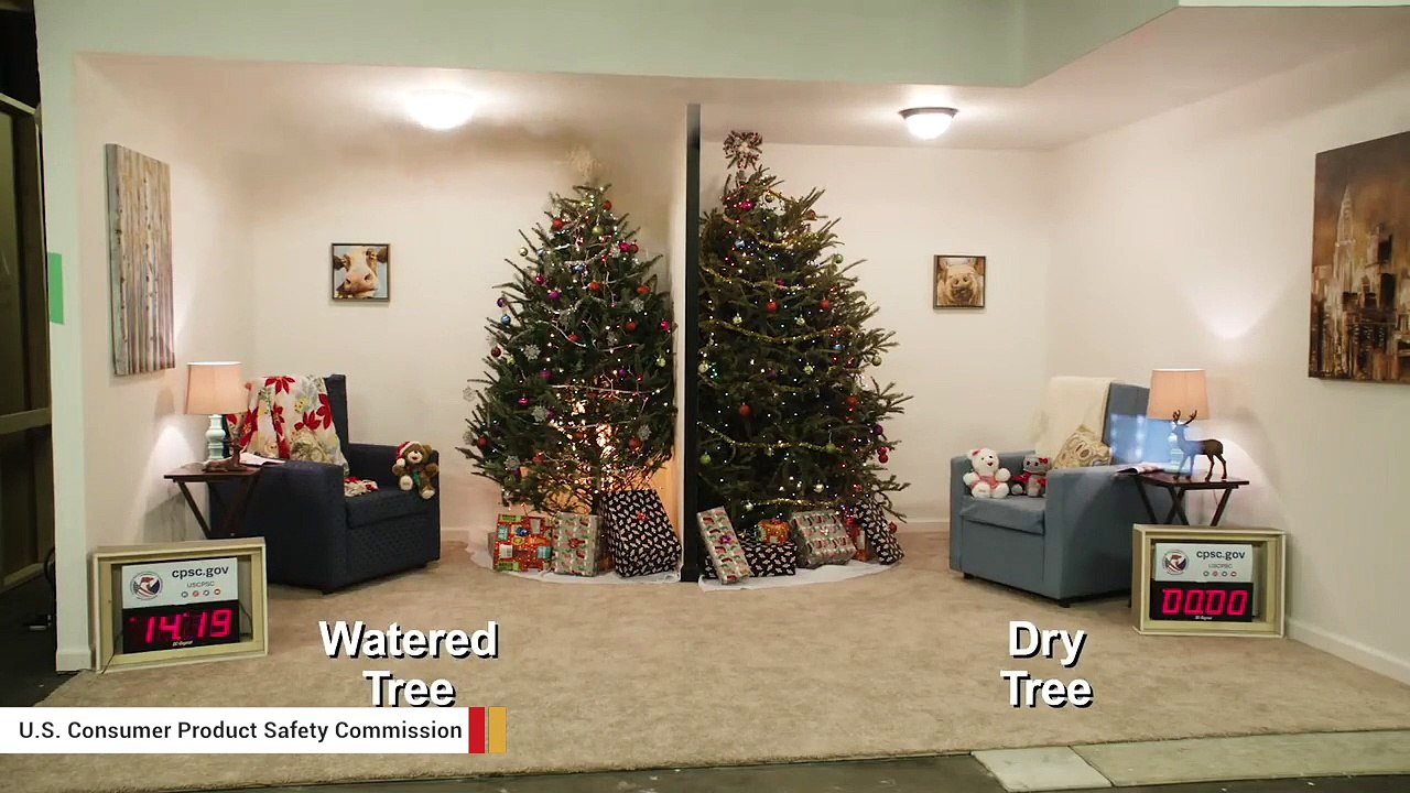 Video Shows How Quickly A Dry Christmas Tree Fire Can Spread video