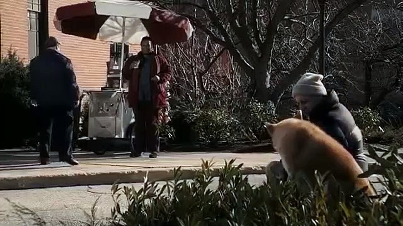 Hachiko (Siempre A tu lado) Pelicula Completa en español latino parte 2