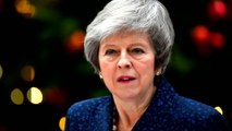 Theresa May survives no-confidence vote