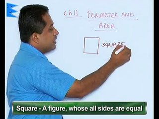 Square and rectangle