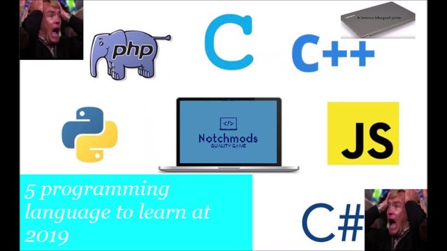 Top 5 programming languages for 2019!