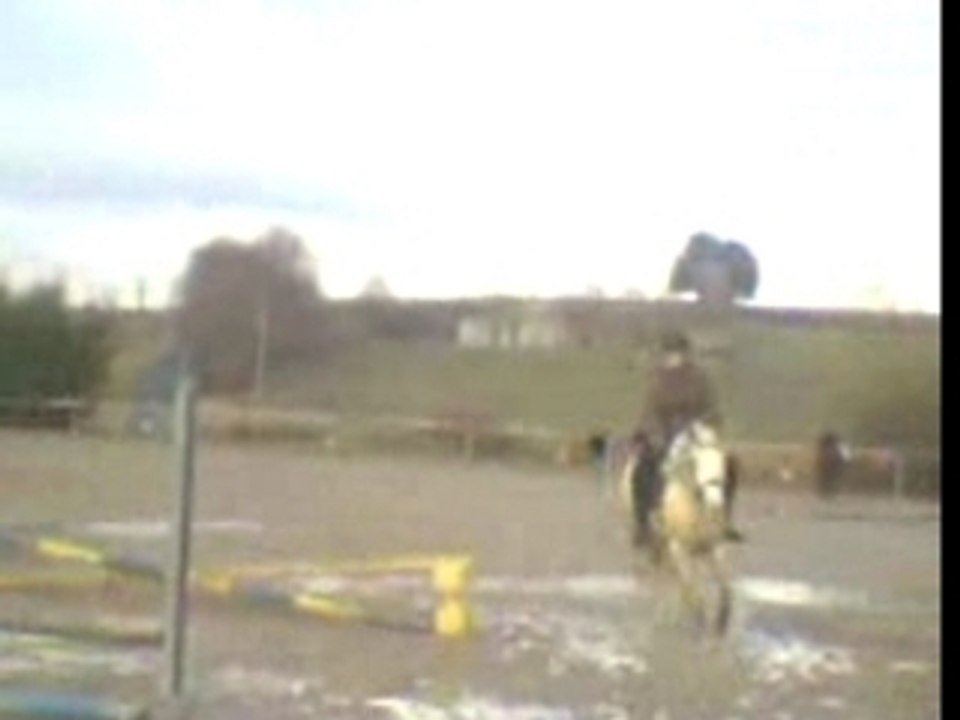 saut d'obstacles shesa