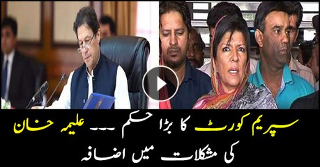PM Imran Khan's sister Aleema Khan appears before SC