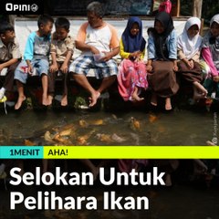#1MENIT | Selokan Untuk Pelihara Ikan