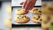 Easy Soft Chocolate Chip Cookies | Makes 13, slightly crispy on edges and base, chewy soft all throughout