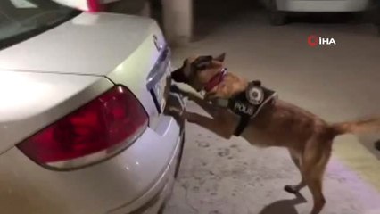 Van'da 33 Kilo 595 Gram Afyon Sakızı Ele Geçirildi