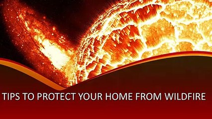 Wildfire Tips and Safety Instructions | Randon James Morris