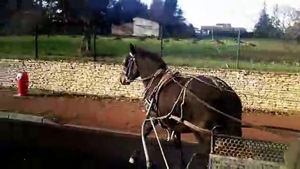 Dolly attelée en circulation