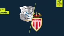 Résumé Amiens-sc / As-Monaco ( 0-2 )
