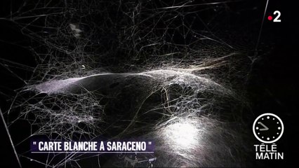 Visite guidée - Carte blanche à Saraceno