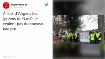 Angers. Plusieurs centaines de lycéens dans la rue ce jeudi