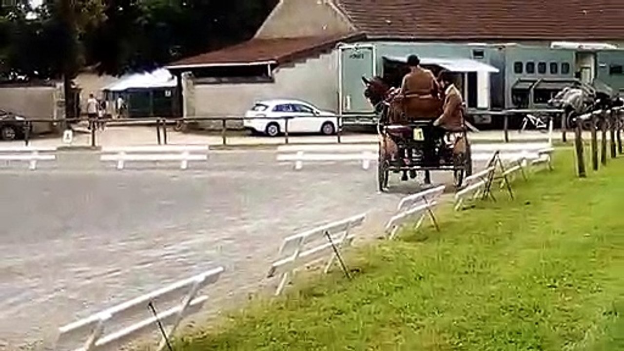 Campino