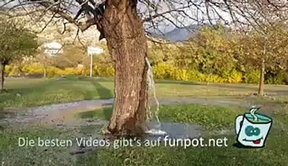 Amazing video - must see