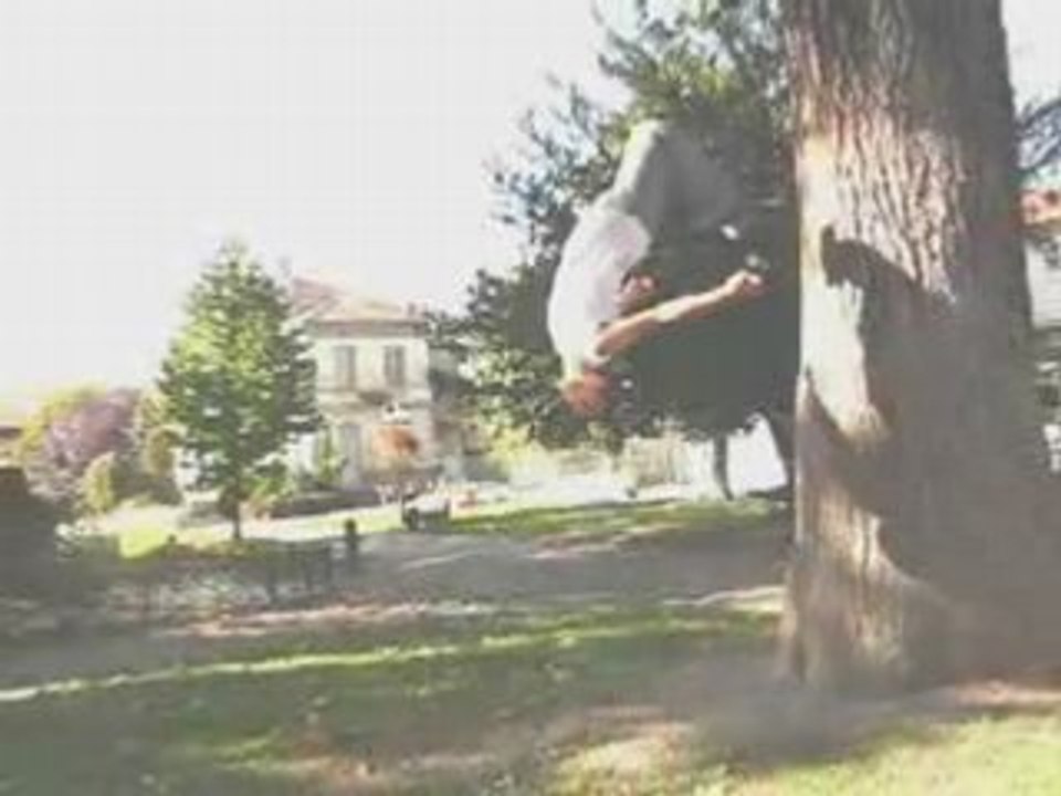 wallflip de ludo