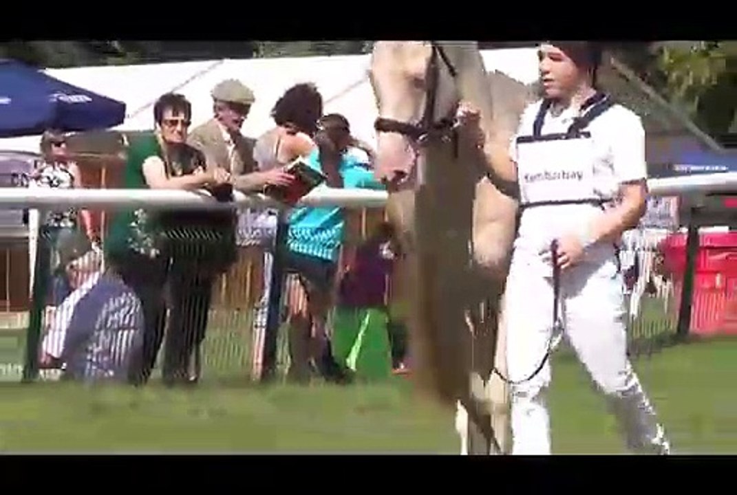 CONHECA O CAVALO DE OURO, O CAVALO MAIS BONITO DO MUNDO