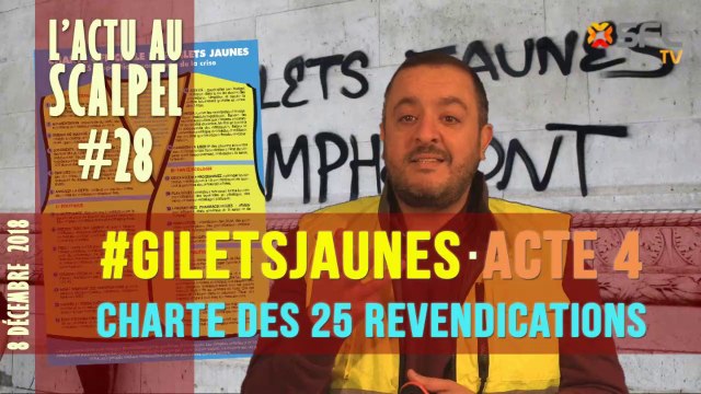 Actu au Scalpel #28 : #GiletsJaunes - Acte 4 et Charte des 25 revendications