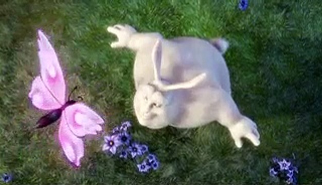 51754a_bbb.mp4