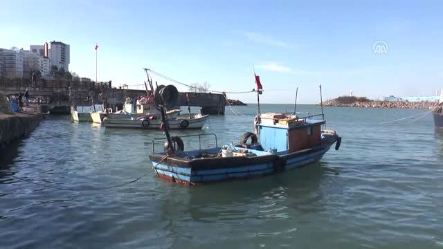 Balık Rotasını Doğu Karadeniz'e Çevirdi - Düzce