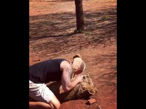 Une incroyable amitié entre cet homme et un lion !