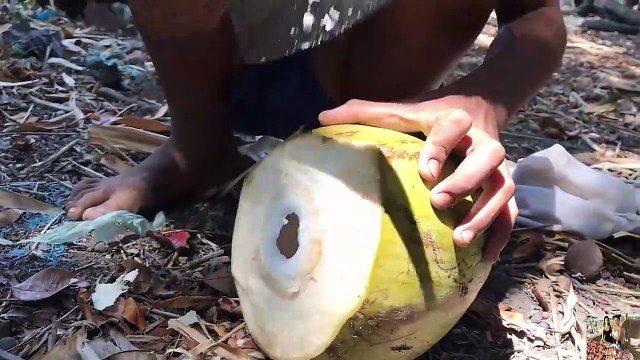 Country Food in my village - A smart boy is broiled eggs in coconut - Village Food factory