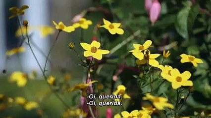 Chá Com As Damas | Trailer Legendado