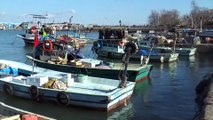 Balık rotasını Doğu Karadeniz'e çevirdi - DÜZCE