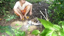 Cooking wild - Unbelievable! Cooking Big Fish With Crab Recipe - Eating Crab Fish Delicious