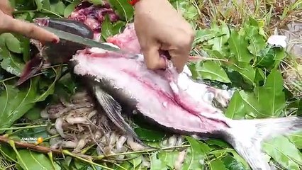 Cooking wild - Wow!Cooking Shrimp In Big Fish Eating Delicious For Lunch