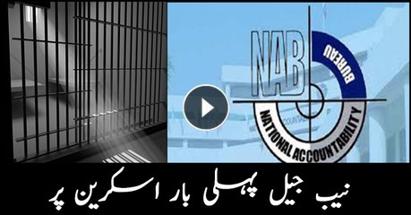 Senior journalists visit NAB jail Lahore