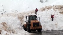 Hakkari-Şırnak yoluna çığ düştü