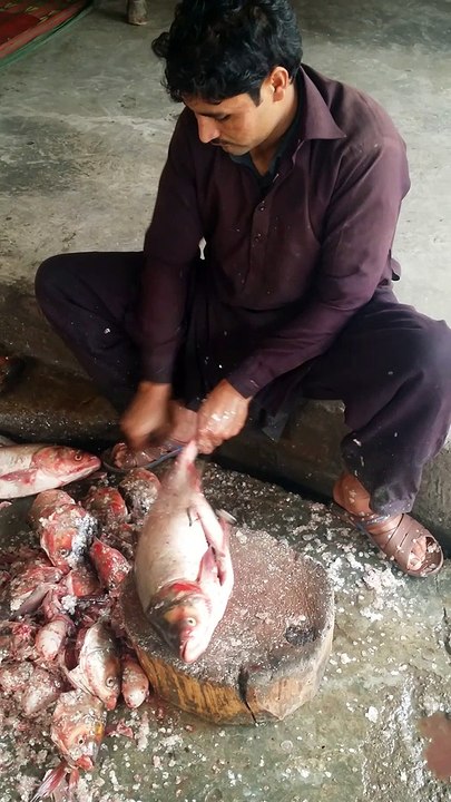 Professional Fish Cleaner