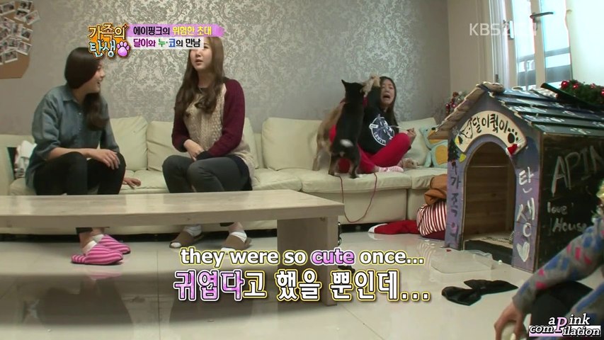 Engsub Birth Of A Family Apink Cut Episode 10 Video Dailymotion