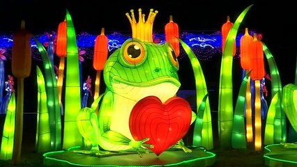 Зимняя сказка в Нью-Йорке