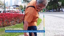 Vítima de mordida de cachorro cobra de Rafael Greca uma calça nova