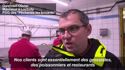 "Gilets jaunes": les mareyeurs bretons victimes des blocages