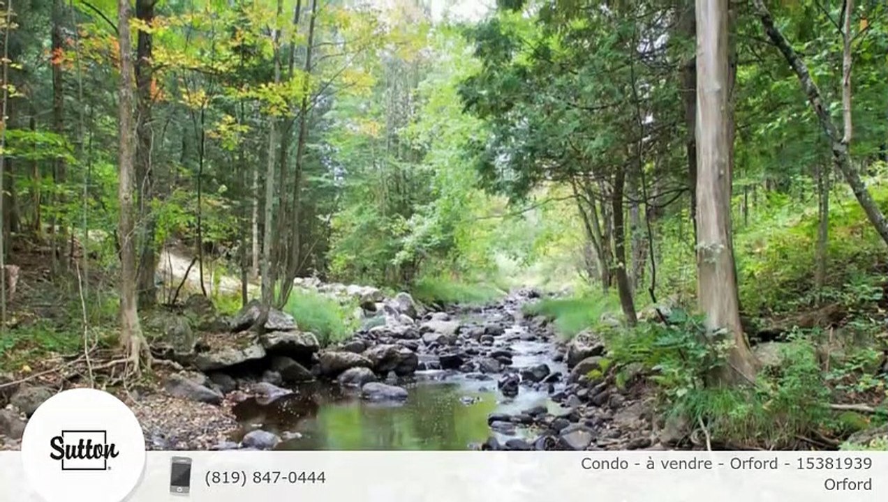 Condo - à vendre - Orford - 15381939