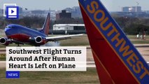 Southwest Flight Turns Around After Human Heart Is Left on Plane