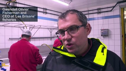 French fishermen feel pinch of 'yellow vest' protest