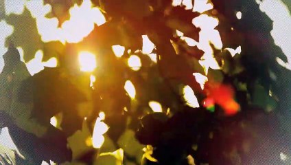 A vendre - Appartement - Aproz (1994) - 4.5 pièces - 75m²