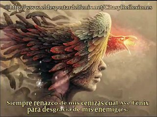 Ave Fenix