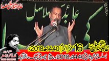 Zakir Syed Mohsin Rizvi Muzafar Gar 16th Muhram 1440(2018) Choti Behak Hafizabad