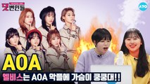 AOA 악플러들 정신차려 제발! #AOA│댓변인들│AYO 에이요